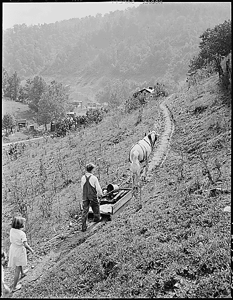 &quot;Franklin D. Sergent sledding home household coal from the mine. The company charges $2.80 monthly for household coal, designating certain coal which the miners may haul away themselves; if the company does the hauling a charge of $1.50 per ton is made for haulage. P V &amp; K Coal Company, Clover Gap Mine, Lejunior, Harlan County, Kentucky., 09/12/1946.&quot;  From the National Archives, Records of the Solid Fuels Administration for War 1937-1948.  Series: Photographs of the Medical Survey of the Bituminous Coal Industry 1946-1947. <a href="http://research.archives.gov/description/541333">http://research.archives.gov/description/541333</a>